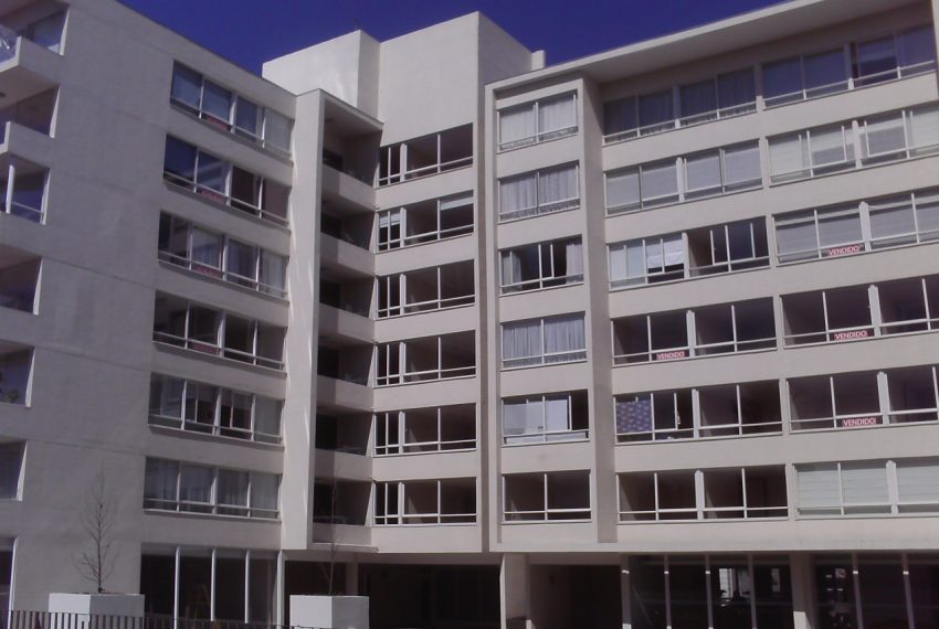 DM1DHQ_01